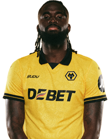 Image of Tolu (Credit https://fantasy.premierleague.com/)